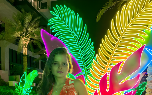 The Contribution of LED Neon Lights to Architectural Details: Light Games