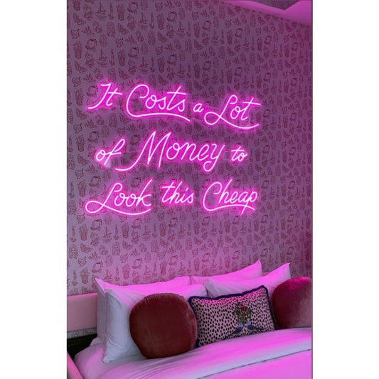 It Cost a lot of money to look this cheap LED Neon Sign Light Neon