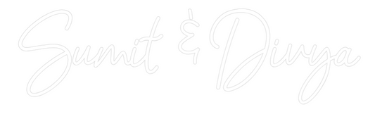 Custom Neon: Sumit & Divya