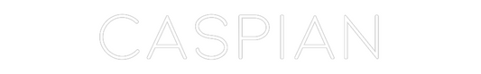 Custom Neon: CASPIAN