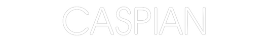 Custom Neon: CASPIAN
