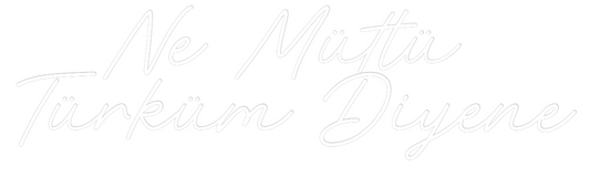 Custom Neon: Ne Mütlü 
Tü...